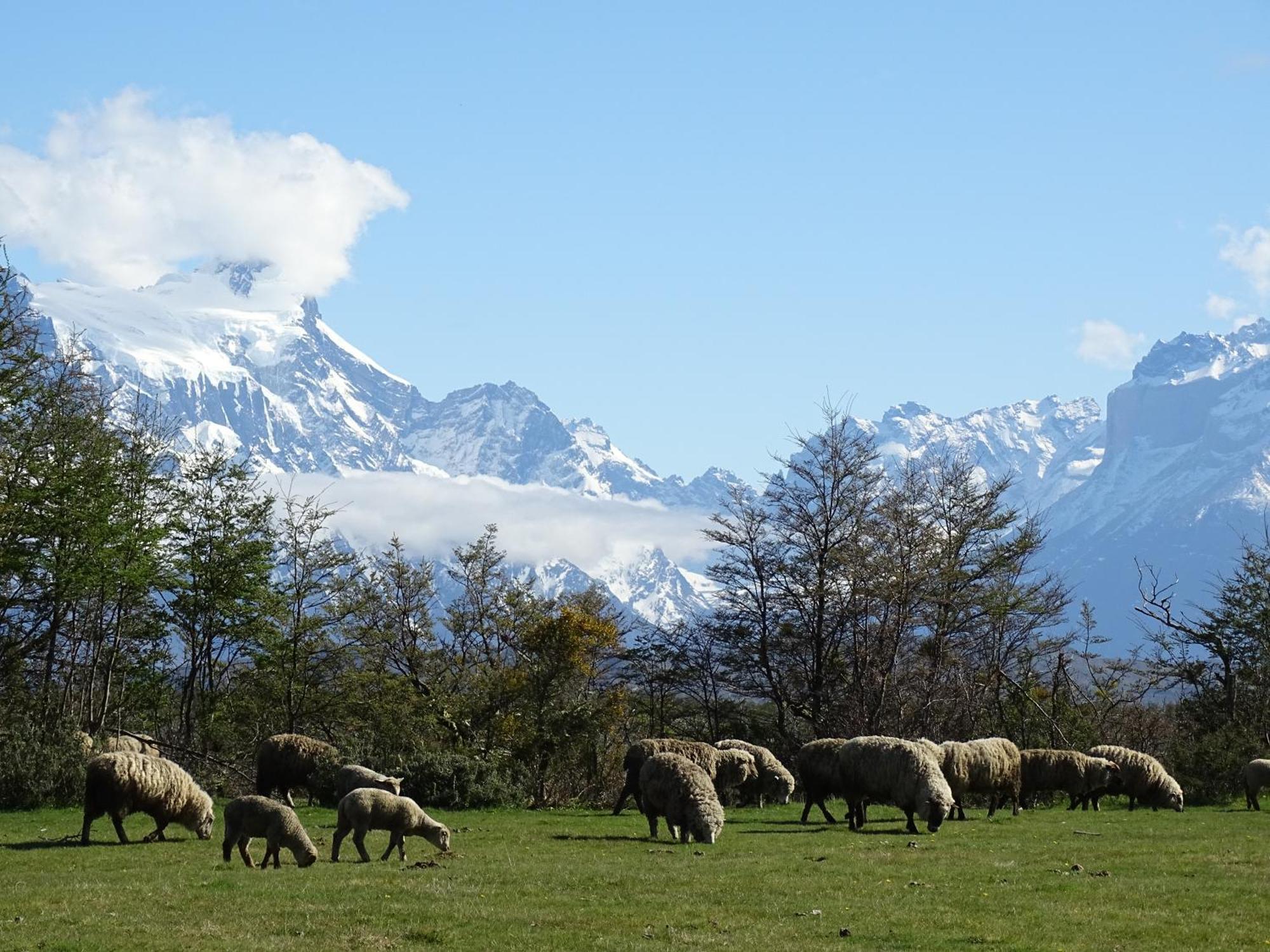 Konkashken Lodge Torres del Paine National Park Extérieur photo